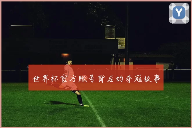 世界杯官方账号背后的夺冠故事