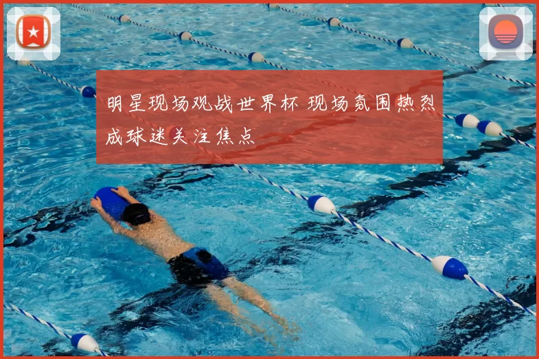明星现场观战世界杯 现场氛围热烈成球迷关注焦点