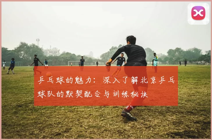 乒乓球的魅力：深入了解北京乒乓球队的默契配合与训练秘诀