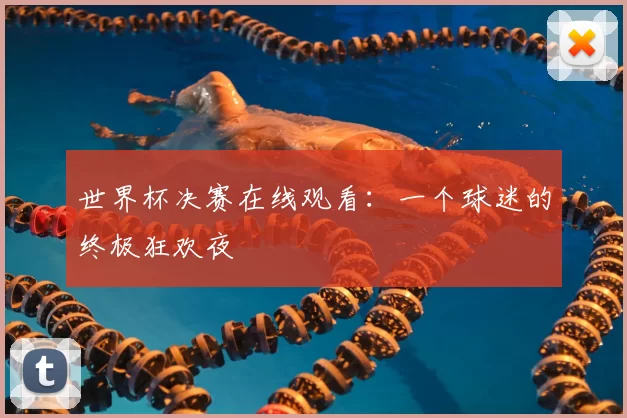 世界杯决赛在线观看:一个球迷的终极狂欢夜