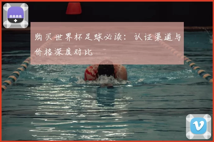 购买世界杯足球必读：认证渠道与价格深度对比