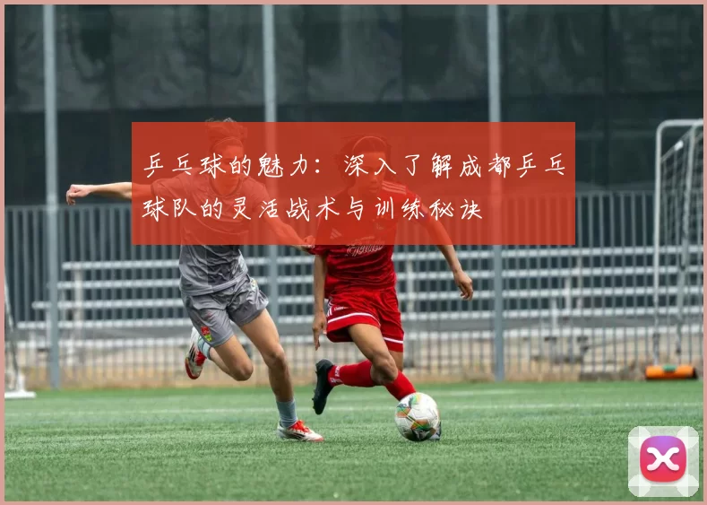 乒乓球的魅力:深入了解成都乒乓球队的灵活战术与训练秘诀