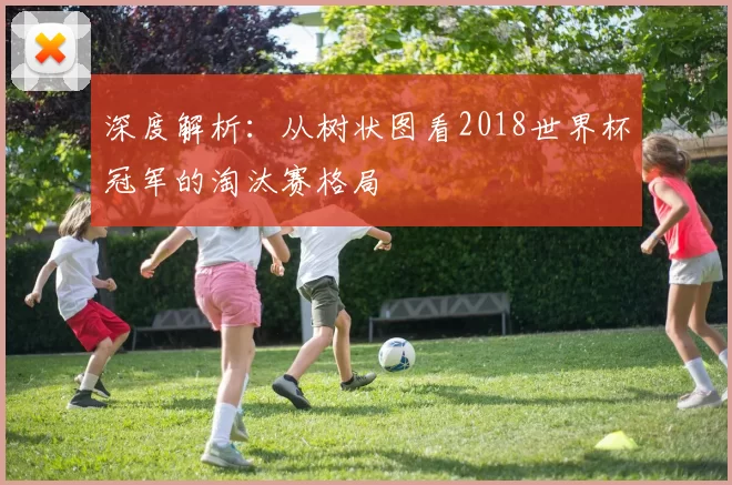 深度解析：从树状图看2018世界杯冠军的淘汰赛格局
