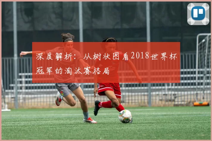 深度解析：从树状图看2018世界杯冠军的淘汰赛格局