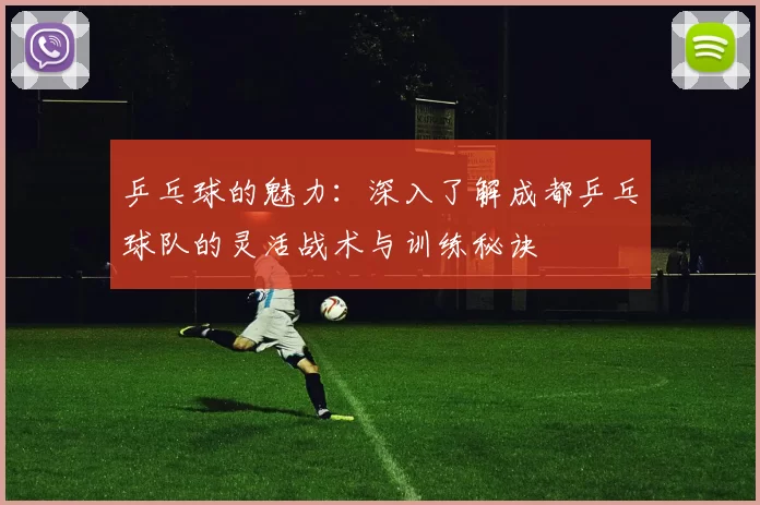 乒乓球的魅力：深入了解成都乒乓球队的灵活战术与训练秘诀