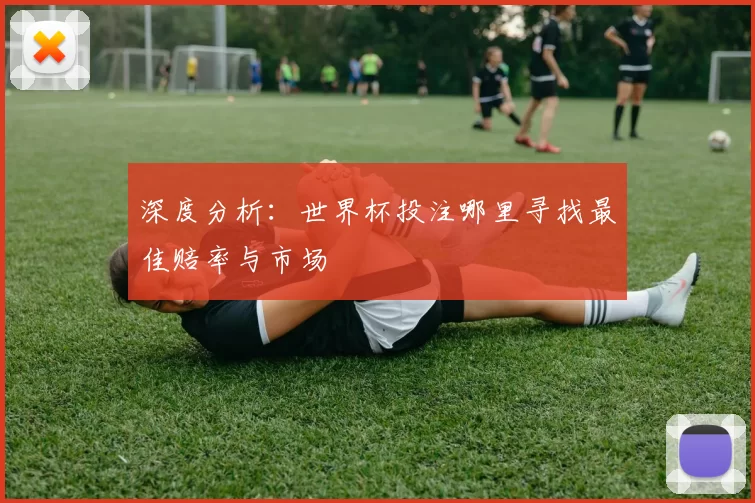 深度分析:世界杯投注哪里寻找最佳赔率与市场