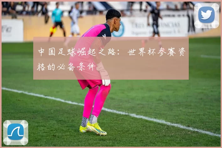 中国足球崛起之路：世界杯参赛资格的必备条件