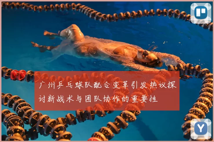 广州乒乓球队配合变革引发热议探讨新战术与团队协作的重要性