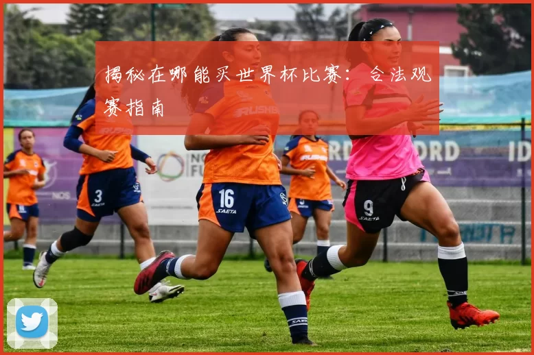 揭秘在哪能买世界杯比赛：合法观赛指南