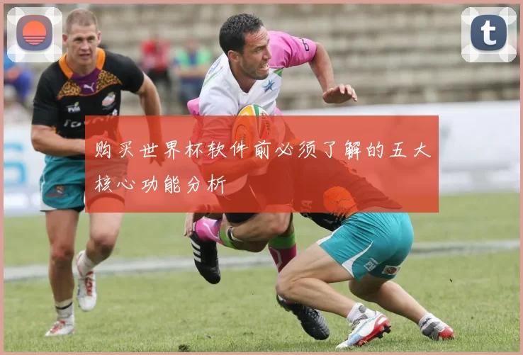 购买世界杯软件前必须了解的五大核心功能分析